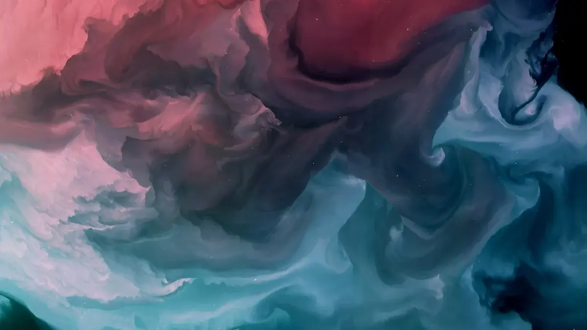 Calvin Harris India Debut 2026 - DJ performing at electronic dance music festival with crowd