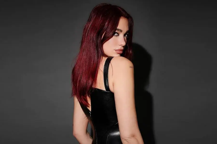 Dua Lipa’s Zomato Feeding India Concert: An Overview - YORD